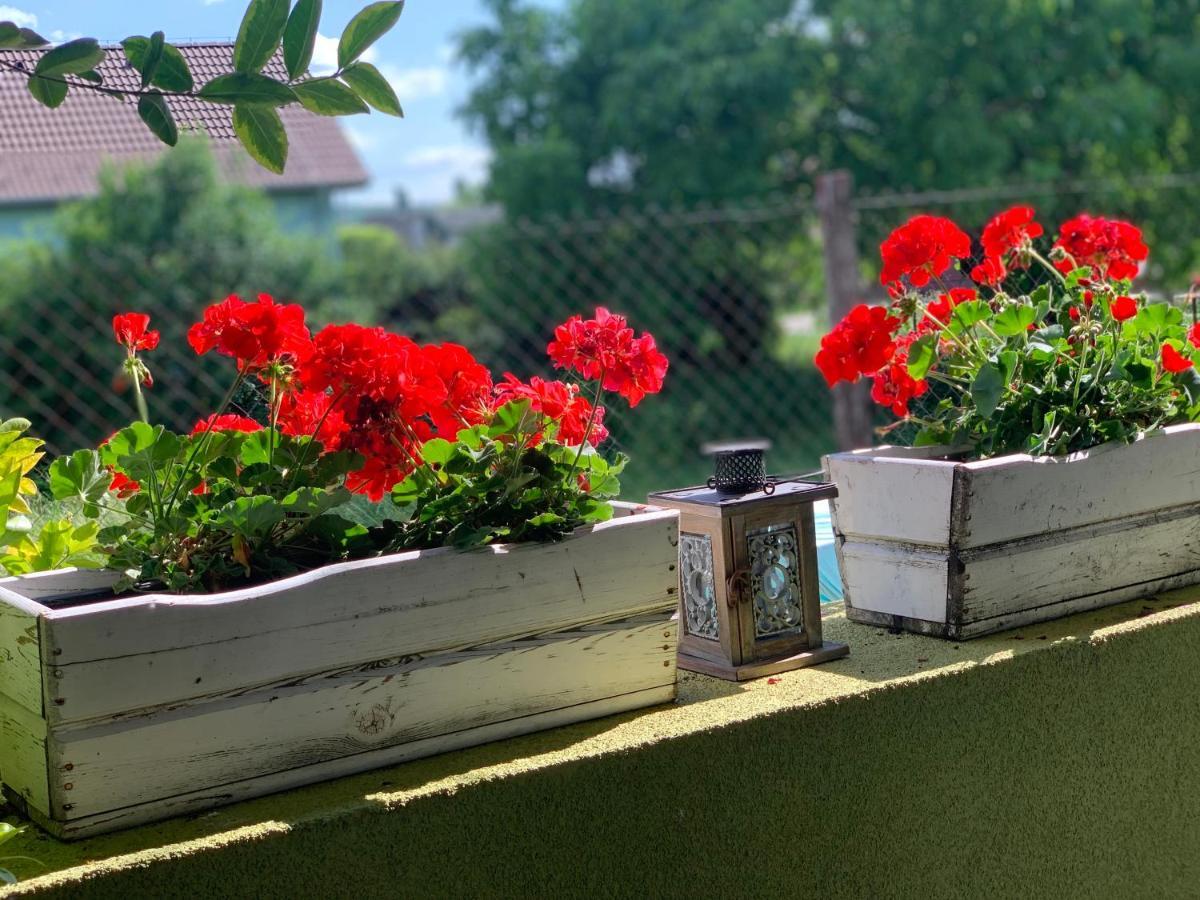 Apartmany Zeleny Dom Podhájska 外观 照片